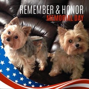 Meet your Posher, Marla